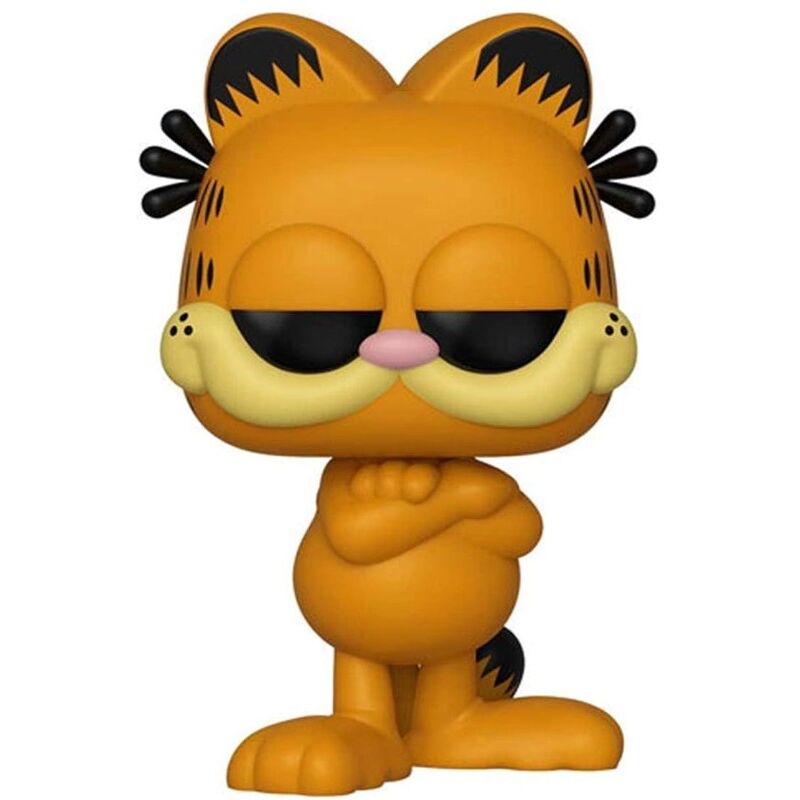 img_386668_c99558add08eba63f17f02571d9c0812_1 POP figure Garfield - Image 1